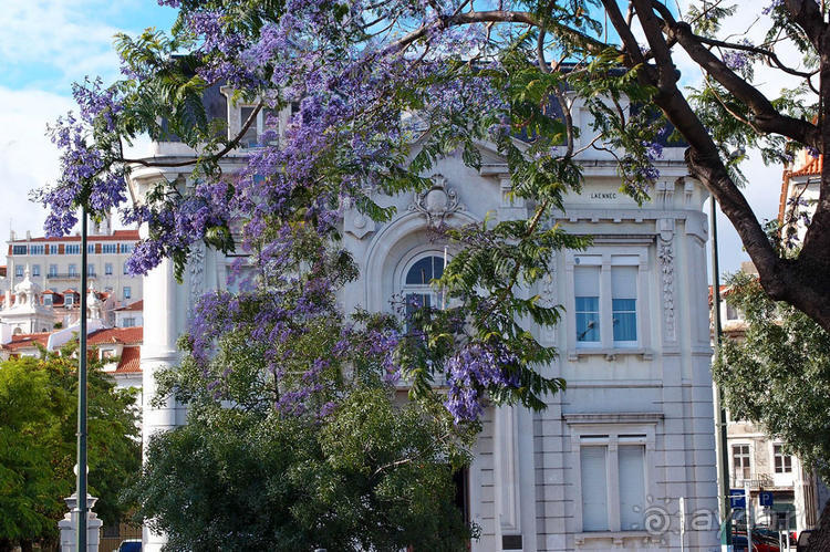 Четыре сезона. Чудесный 2014 год