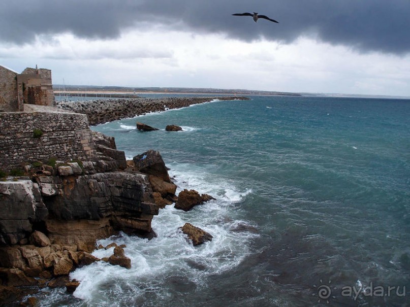 Четыре сезона. Чудесный 2014 год