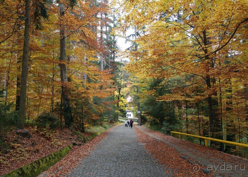 Четыре сезона. Чудесный 2014 год