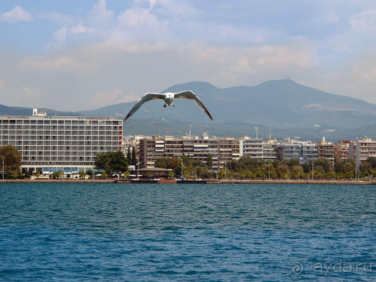 Четыре сезона. Чудесный 2014 год