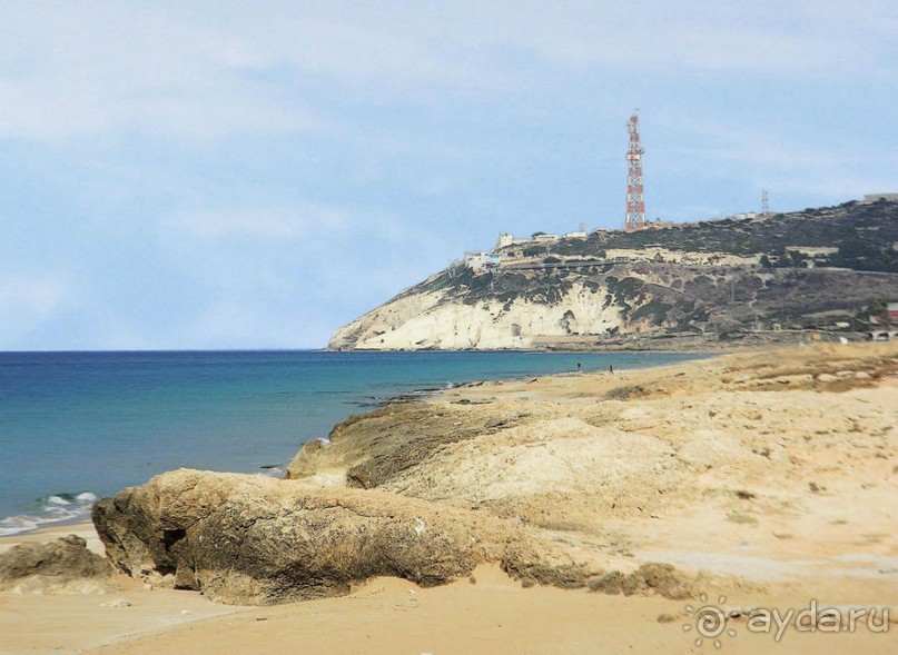 Четыре сезона. Чудесный 2014 год