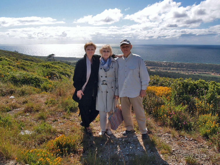 Четыре сезона. Чудесный 2014 год