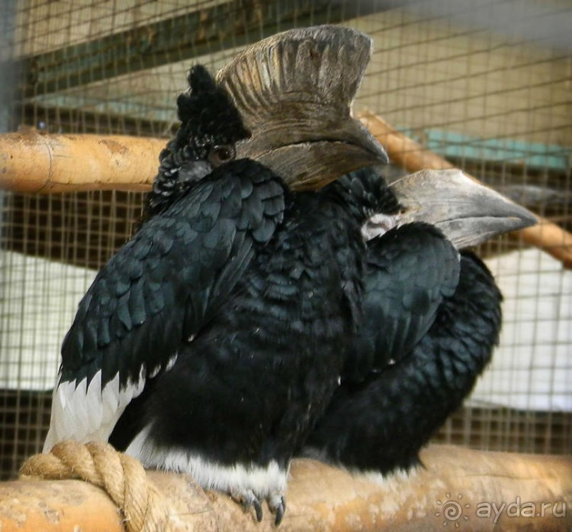 Четыре сезона. Чудесный 2014 год