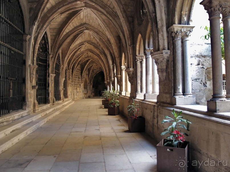 Сё, Лиссабон