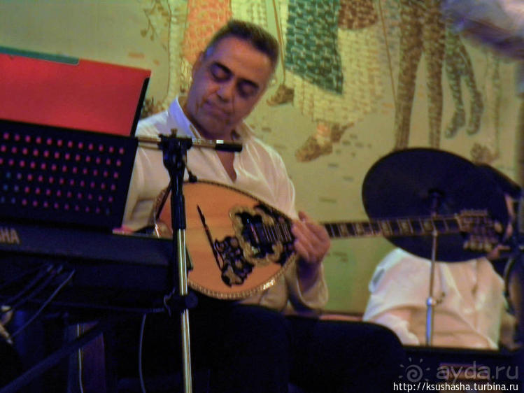 Таверна, таверна