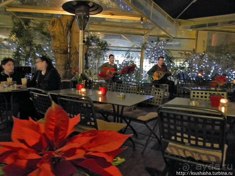 Таверна, таверна