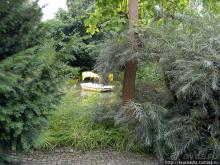 Пол дня в Мангейме