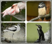 Пол дня в Мангейме