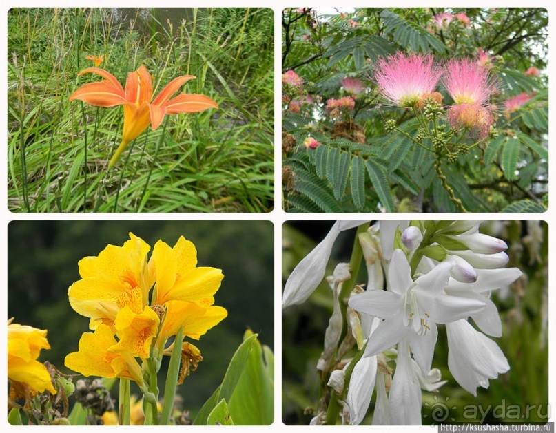 Пол дня в Мангейме