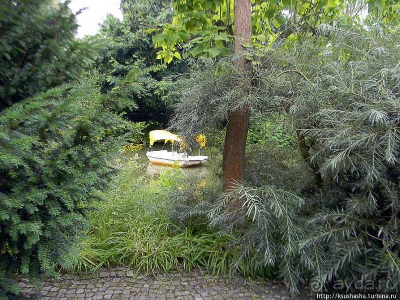 Пол дня в Мангейме