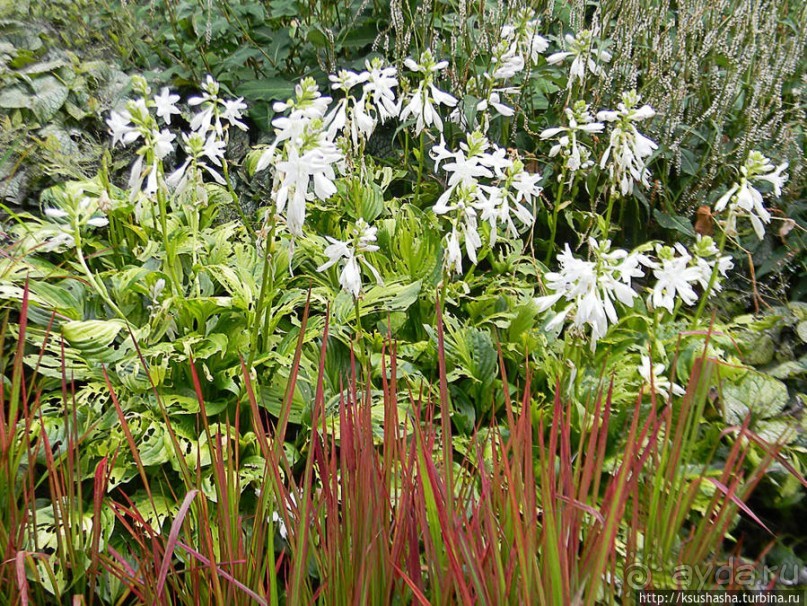Пол дня в Мангейме