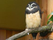 Пол дня в Мангейме