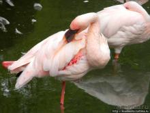 Пол дня в Мангейме