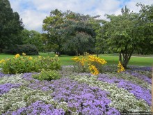 Пол дня в Мангейме