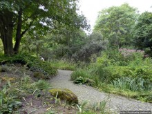 Пол дня в Мангейме