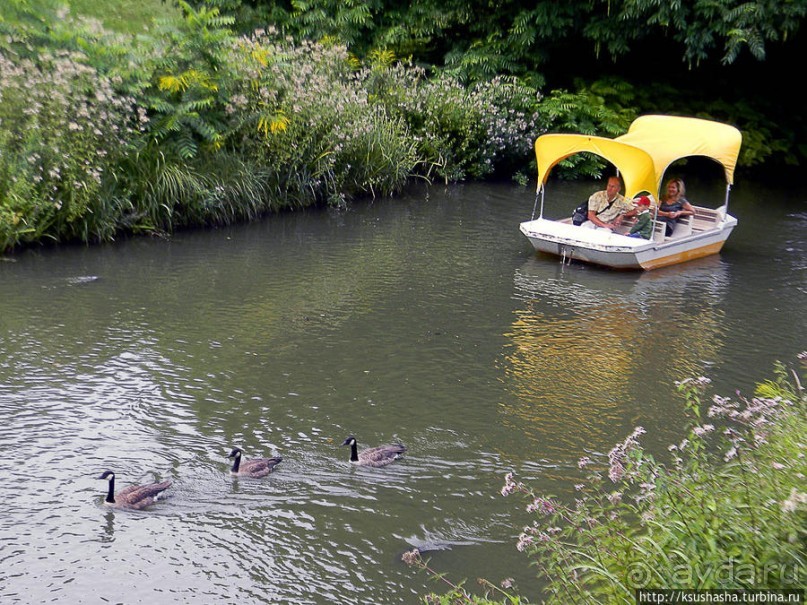 Пол дня в Мангейме