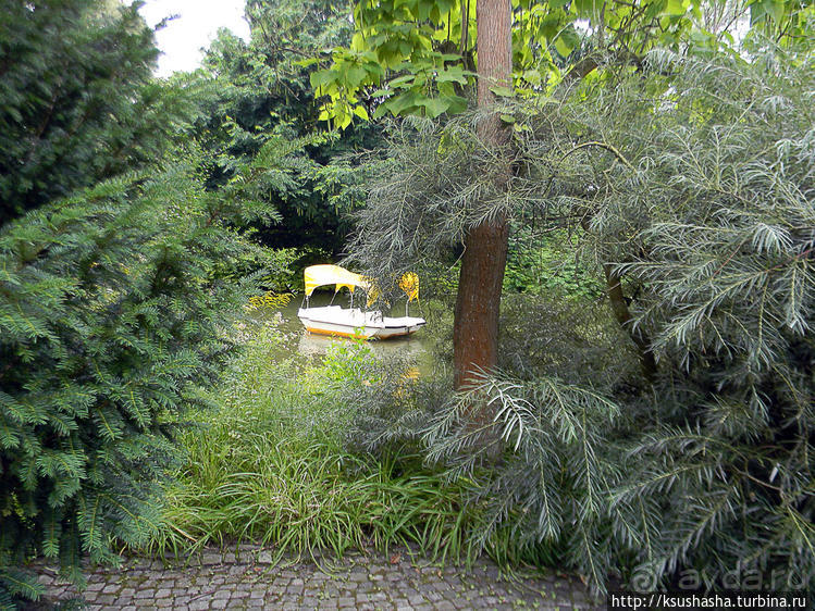 Пол дня в Мангейме