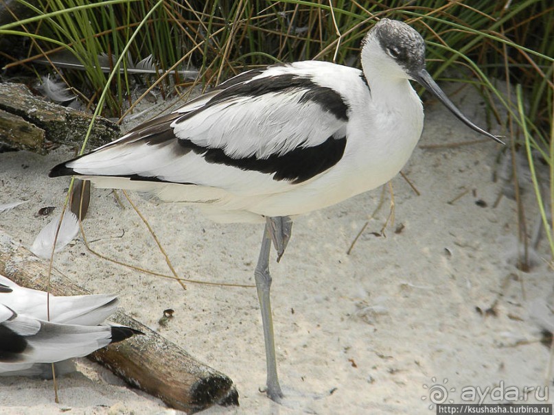 Пол дня в Мангейме