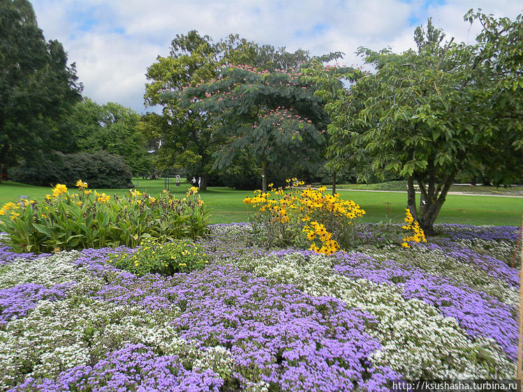 Пол дня в Мангейме