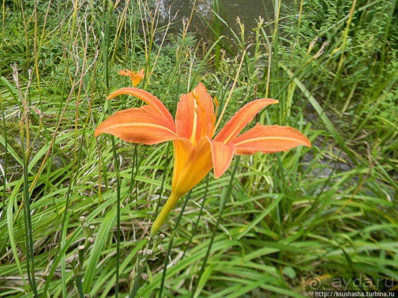 Пол дня в Мангейме