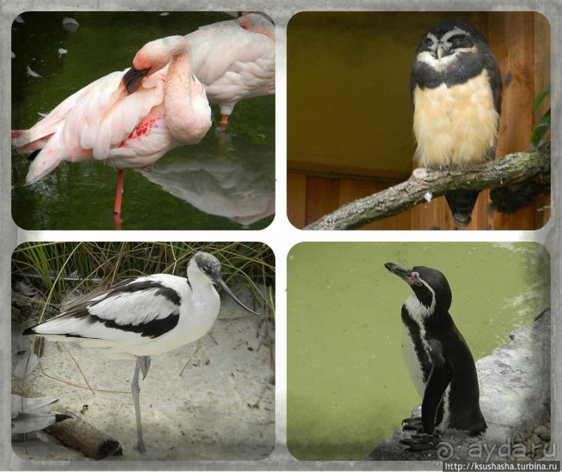 Пол дня в Мангейме