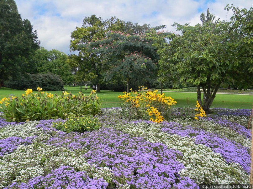 Пол дня в Мангейме