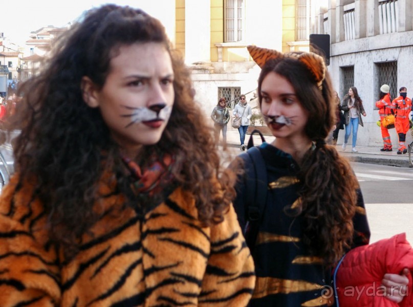 Альбом отзыва "Карнавальное шествие в Вероне"