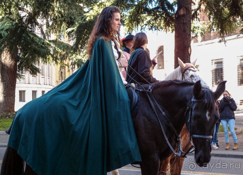 Карнавальное шествие в Вероне