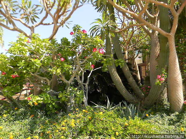 Оазис Эйн-Геди (ч4) Оздоровительный комплекс Эйн Геди