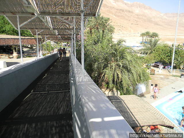 Оазис Эйн-Геди (ч4) Оздоровительный комплекс Эйн Геди