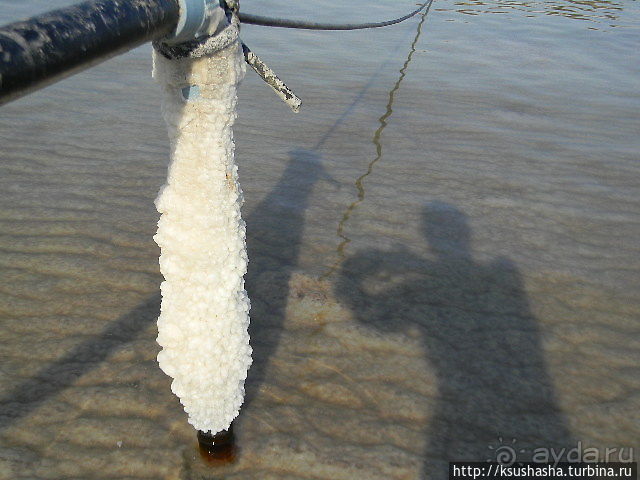 Оазис Эйн-Геди (ч4) Оздоровительный комплекс Эйн Геди