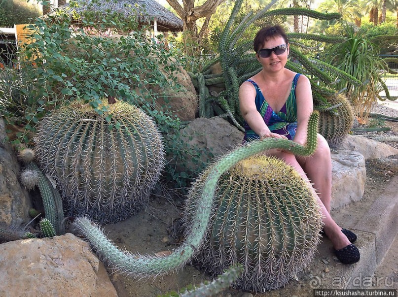 Оазис Эйн-Геди (ч4) Оздоровительный комплекс Эйн Геди