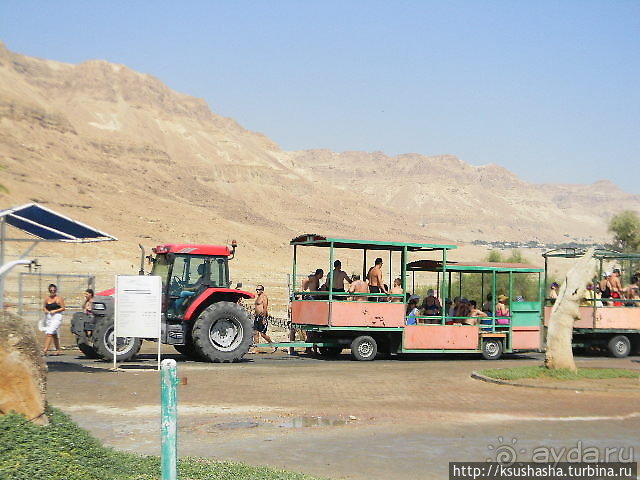 Оазис Эйн-Геди (ч4) Оздоровительный комплекс Эйн Геди