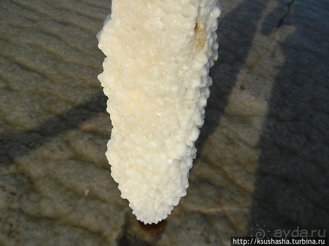 Оазис Эйн-Геди (ч4) Оздоровительный комплекс Эйн Геди