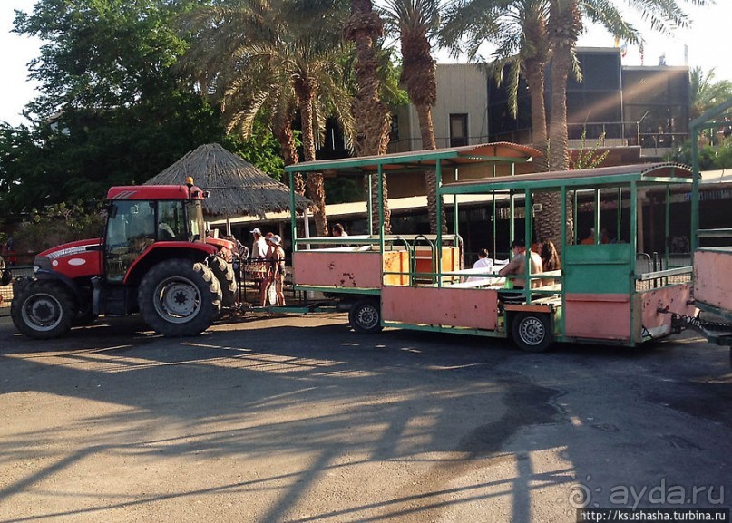 Оазис Эйн-Геди (ч4) Оздоровительный комплекс Эйн Геди