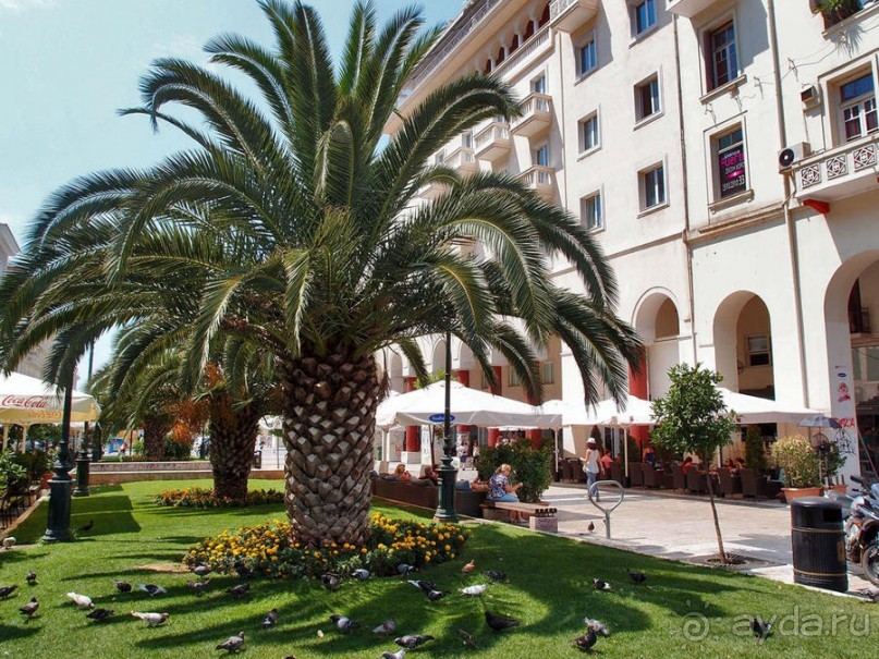 Вдоль центральной оси