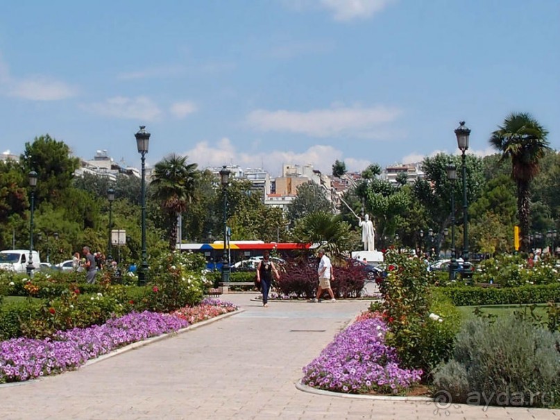 Вдоль центральной оси