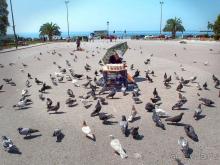 Альбом отзыва "Вдоль центральной оси"