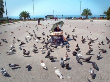 Вдоль центральной оси