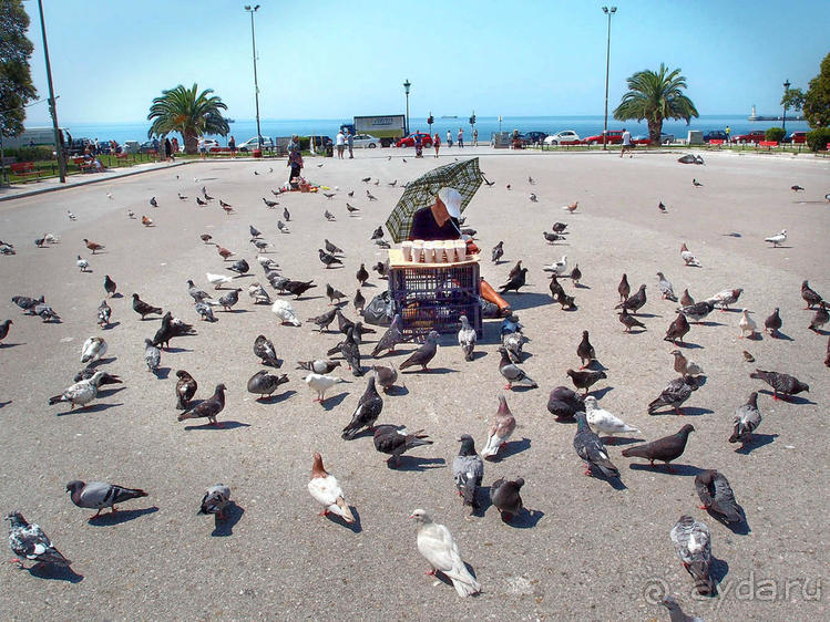 Вдоль центральной оси