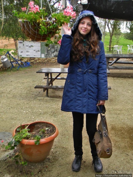 Цветущие анемоны и ослик по имени Лавни