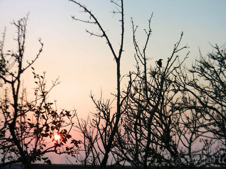 Незнакомый Яффо