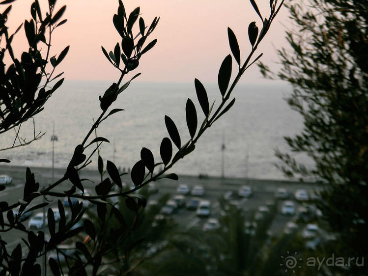 Незнакомый Яффо