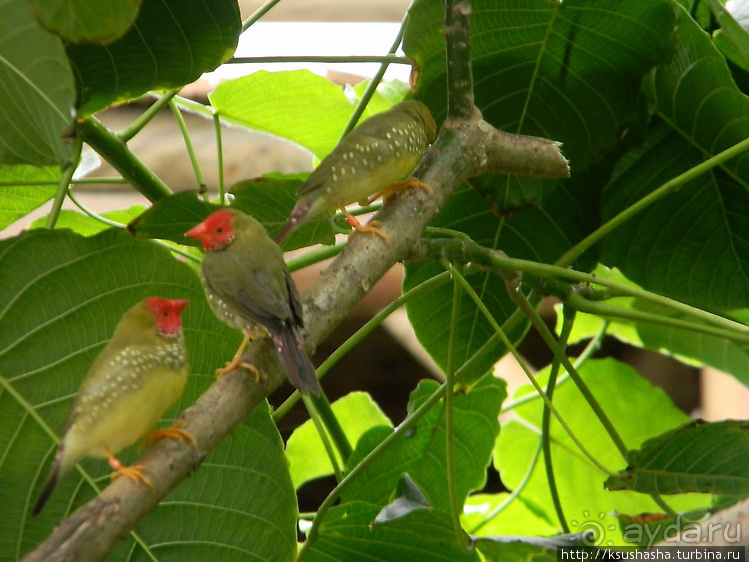 Немного "востока" в горах Беналмадены