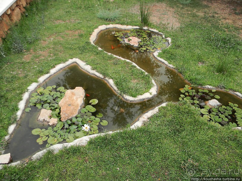 Немного "востока" в горах Беналмадены