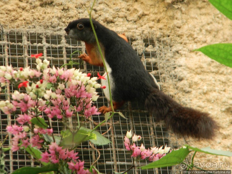 Немного "востока" в горах Беналмадены