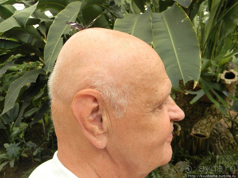 Немного "востока" в горах Беналмадены