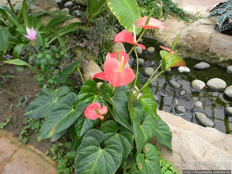 Немного "востока" в горах Беналмадены