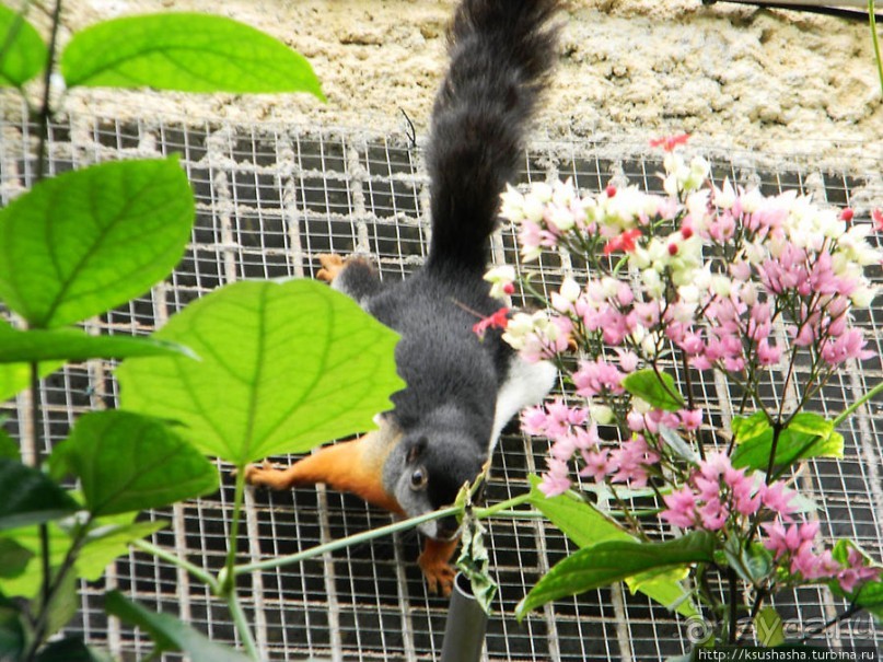 Немного "востока" в горах Беналмадены