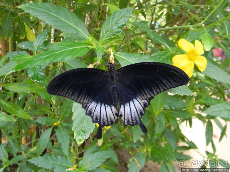 Немного "востока" в горах Беналмадены